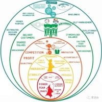 组织的“光谱色系”：从红色到青色
