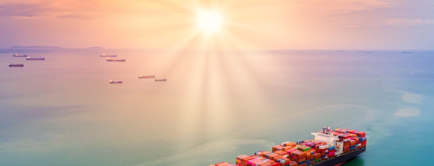 销量、营收、核心市场份额占比不断提升，海外市场成新增长极