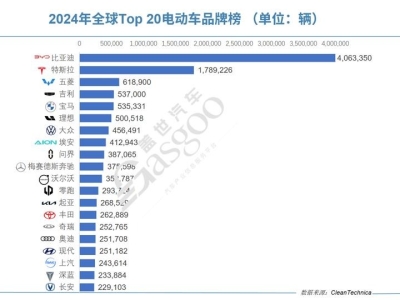 2024年，谁才是全球电动车市场的老大？