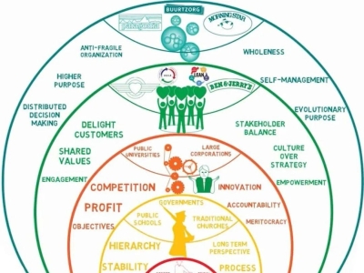 组织的“光谱色系”：从红色到青色