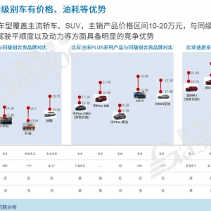 自主新能源乘用车渗透率持续提升，品牌内部现分化趋势