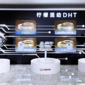2022油混战：5大自主围攻“两田”