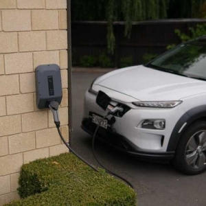 围剿特斯拉，还得靠中国车？