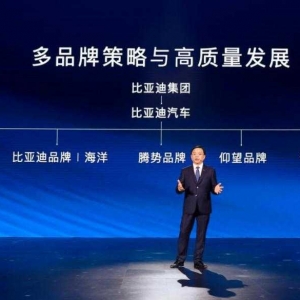 比亚迪第300万辆新能源车下线，多品牌矩阵首次公布