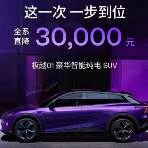 中国车市，惨胜？