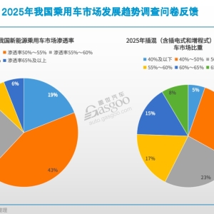 车市2025年十大预测