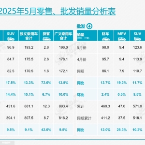 5月乘用车市场零售193.2万辆，自主品牌拿下65.2%份额