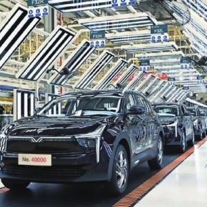 谁在复活破产新势力